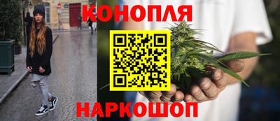 стафф Можга