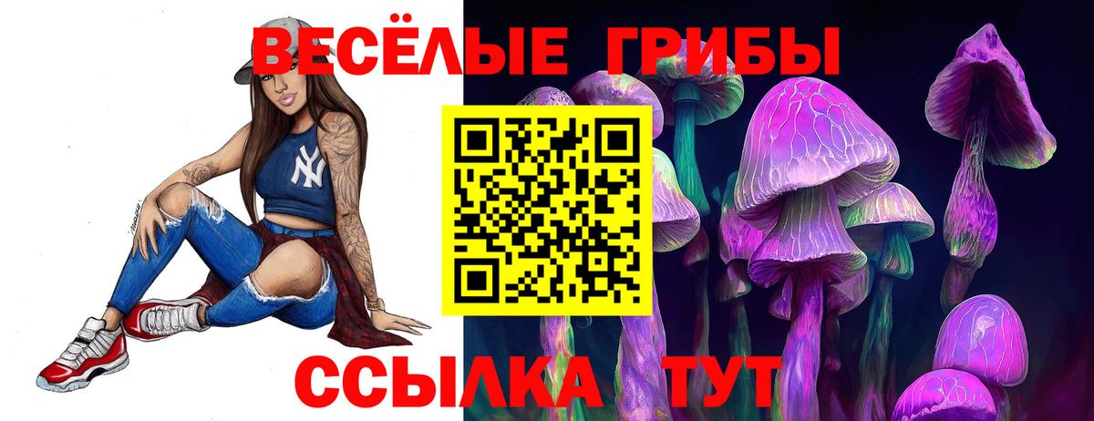 Шелехов  Псилоцибиновые грибы MAGIC MUSHROOMS  Вход с VPN  Псилоцибиновые грибы GOLDEN TEACHER 